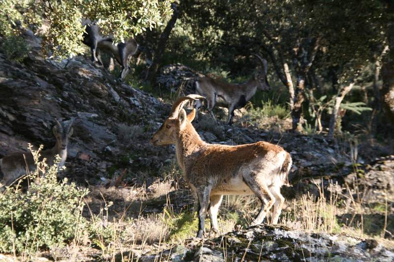 SPANJE 2011 - 436